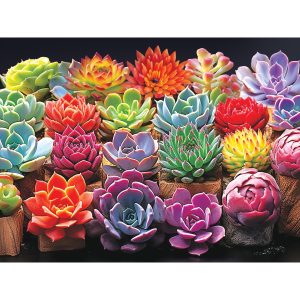 RoseArt - KODAK Premium - Pretty Succulents - 350 Piece