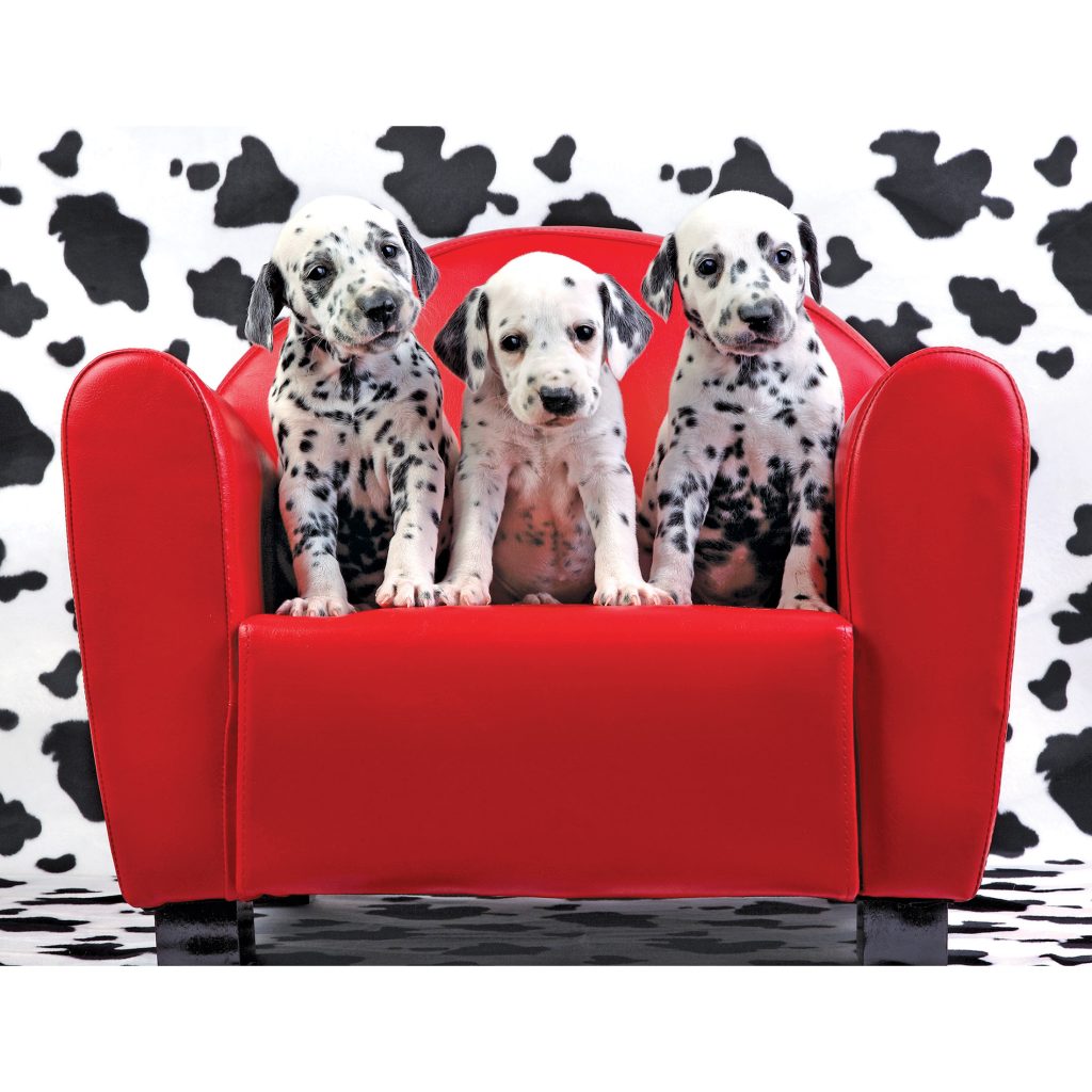 8800ZZU_Lots-of-Spots-1-